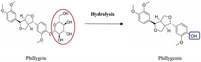 Comparison of Forsythia suspensa leaf fermented tea in the four different regions of Shanxi Province: quality, functional ingredients, and bioactivity